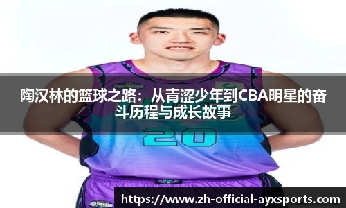 爱游戏登录入口